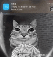 a cat is holding a fan of money in front of a ring app notification