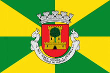 a green and yellow flag with a red and yellow coat of arms