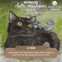 a black cat is surrounded by birds and the word la force is on the bottom