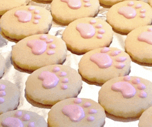 a tray of cookies with pink frosting and paw prints on them