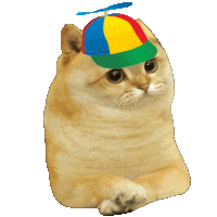 a cat wearing a hat with a propeller on top of it