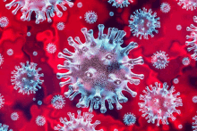 a computer generated image of a virus on a red surface