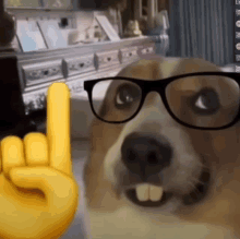 a dog wearing glasses and a yellow hand giving a horns up sign