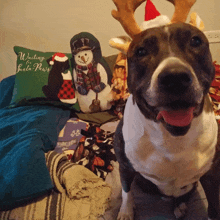 a dog wearing reindeer antlers sits in front of a pillow that says " waiting for santa paws "