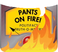 a sign that says " pants on fire " with flames coming out of it