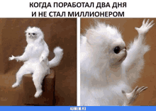 a white stuffed animal is sitting on a box and waving its hands