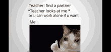 a crying cat is giving a thumbs up in a meme about finding a partner .