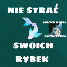 a poster that says nie strach swoich rybek and macho mafia