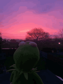 kermit the frog looking at a sunset with a tree in the foreground