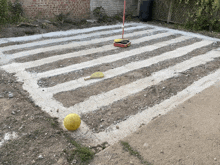 a yellow ball sits on the ground next to a broom and brush