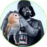 darth vader holds an owl in his arms in a circle