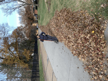 a person is raking leaves on the sidewalk