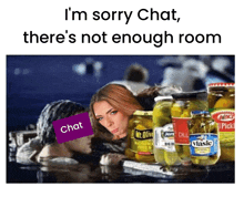 a meme that says i 'm sorry chat there 's no enough room