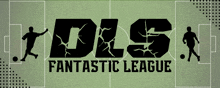 a soccer field with the words dls fantastic league on it