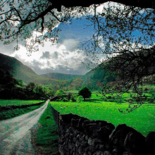 a stone wall along a dirt road leading to a lush green hillside