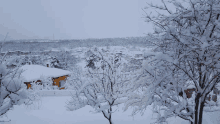 a snowy landscape with houses and trees in the background