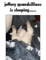 a picture of a cat sleeping on its back with the caption jeffery quandsillious is sleeping