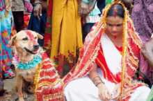 a woman in a white dress sits next to a dog dressed as a bride and groom