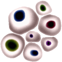 a group of white circles with purple green and blue circles on them