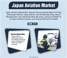 japan aviation market size share & trends analysis report by type ( passenger airlines cargo airlines