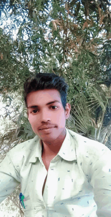 a young man in a white shirt is standing in front of a palm tree