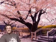 a man wearing glasses stands in front of a tree with pink flowers