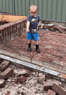 a little boy wearing a shirt with a car on it stands on a pile of bricks