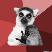 a lemur with red eyes and black paws is making a hand gesture