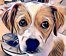 a painting of a brown and white dog with a blue nose