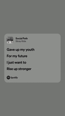 social path stray kids gave up my youth for my future