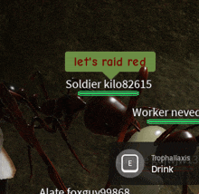 an ant in a video game says let 's raid red soldier kilo82615 and worker never