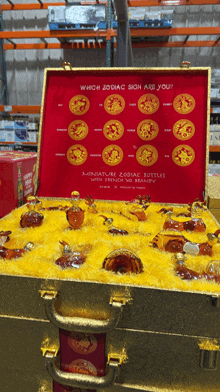 a display of miniature zodiac bottles in a gold case