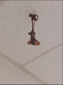 a brown object is hanging from the ceiling and looks like a sword