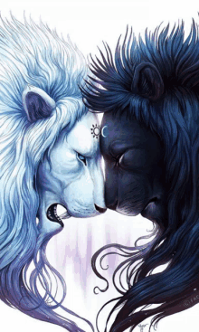 a black and white lion looking at each other