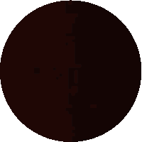 a pixel art drawing of a circle with a white border