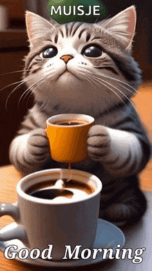 a cat is holding a cup of coffee on a saucer and says good morning