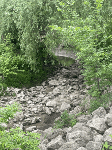 a rocky area surrounded by trees and shrubs