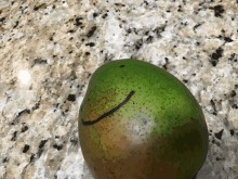 a green fruit with a black line drawn on it