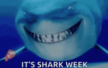 a shark from the movie finding nemo is smiling in the water .