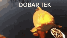 a fish is looking at a bowl of food with the words dobar tek written above it