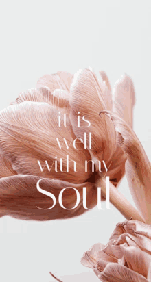 a pink flower with the words " it is well with my soul " below it