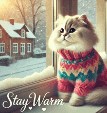 a cat wearing a sweater sits on a window sill and looks out the window with the words stay warm below it