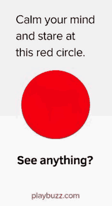 a red circle with the words `` calm your mind and stare at this red circle . see anything ? '' on it .