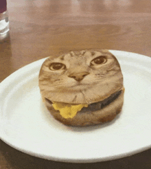 a hamburger with a cat face on it is on a white plate