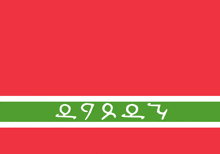 a red background with a green and white stripe and the number 2999