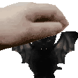 a hand is petting a black bat on a white background .