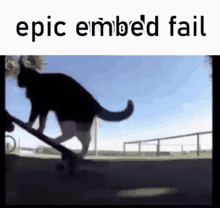 a cat is riding a skateboard on a ramp with the caption epic embed fail .