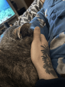 a person with a tattoo on their wrist holds a cat