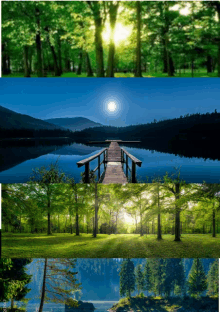 a collage of images of a lake and trees