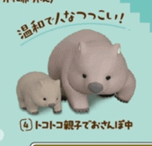 a picture of a wombat and a baby wombat in a foreign language